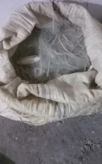 تورماهیگیری