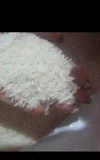 برنج هاشمی پارساله بدون قاطی وخوش پخت از کشاورز