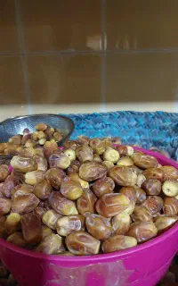 خرما زاهدی