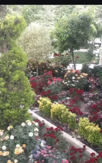 گلخانه و نهالستان /طبیعت را به خانه ببرید/