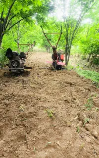 شخم زدن باغ با دستگاه تیلر و علف زنی تمام نقاط