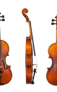 ویولن دستچین و ریگلاج شده (فروشگاه تیموری)