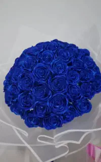 گل روبانی