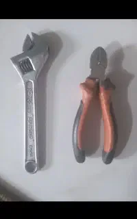 اچار فرانسه سیم چین