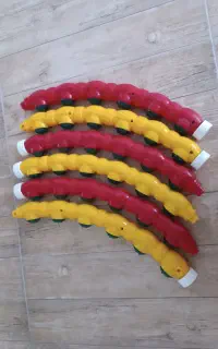 حلقه ورزشی