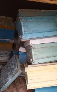 کندو زنبور عسل