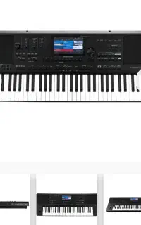 ارگ medeli dantezen