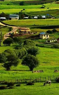 تور شمال