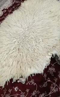 پوست گوسفند دباغی شده