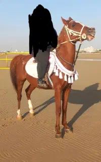 اسب نریون درهشور