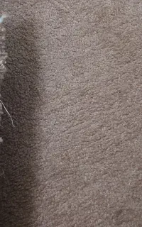 موکت برای راهرو