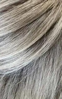 میکاپ شنیون  مژه کار