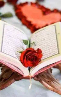 همکاری کارهای فرهنگی