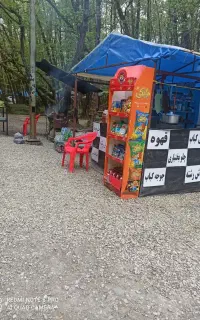 به دو نفر همکار جهت کار در کافه جنگلی گیسوم