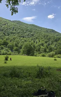 نیروی چایی چین در استانبول