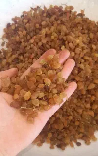 کشمش پلویی فقط و فقط 390 عمده