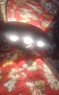 پروژکتربه همراه ۱۰مترکابل ۲در۲/۵