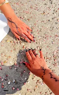 تور قشم