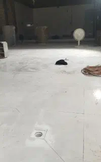 سنگ کاروسرامیک کار