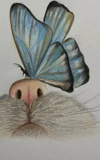 آموزش نقاشی کودک