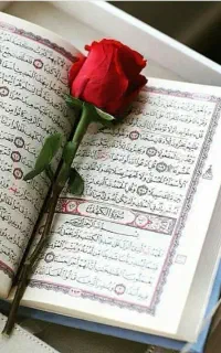 دعا قرآنی،کتابت دعا،بصورت تضمینی