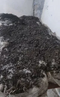 کود کمپوست رایگان