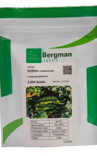 بذر هندوانه بیضی