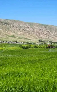 آبیار زمین کشاورزی بصورت درصدی.(کشت گندم)