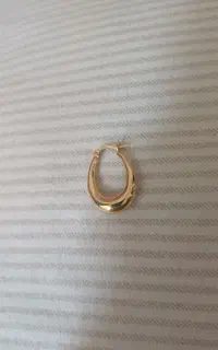 لنگه این گوشواره گم شده است