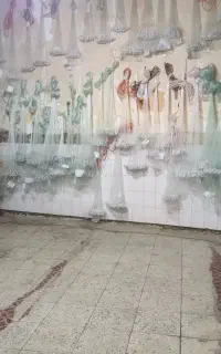 تور پرتابی راهبد زنجیری