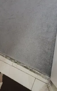 موکت پالازدور دوز شده