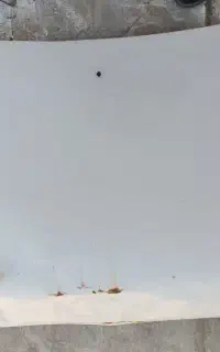 کاپوت پراید فابریک کارخانه