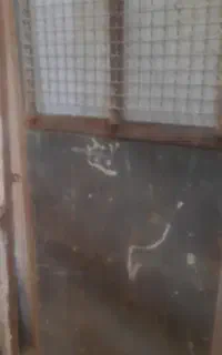 درانبار