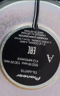 باند پایونیر