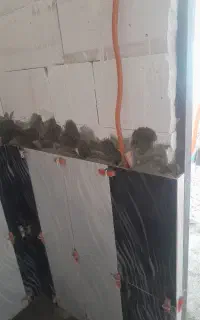 انجام کلیه کاشی کاری سنگ اسلب سرامیک کاری