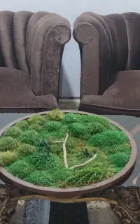 مبل مبلمان جلو مبلی