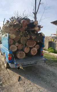 چوب و درخت باغی