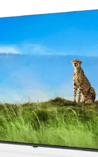 تلوزیون ۶۵ اسنوا