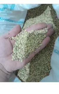 عدس محلی  تمیز پاک شده