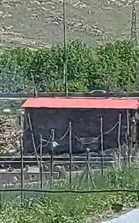 استخر پرورش. ماهی  یمخا شراکت  یا اجاره. ای.