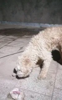 آروم و ساکت