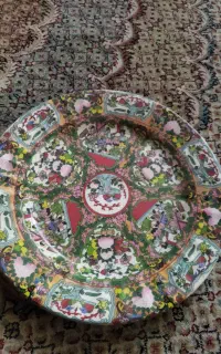 دیس مرغی