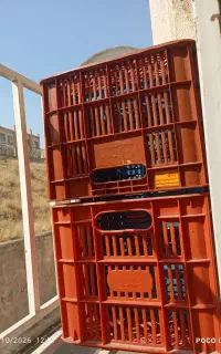 سلام تعدای سبد میوه هست به علت جابه جایی می فروشم