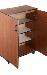 جاکفشی