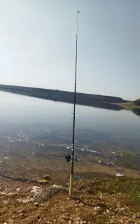 لنسر ماهیگیری