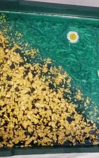 سینی رزینی خوشگل
