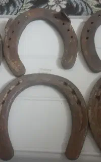 نعل‌ اسب‌