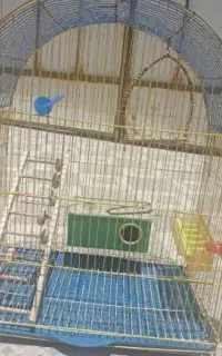 قفس بزرگ پرنده