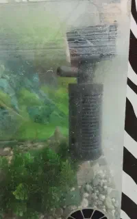 اکواریوم بزرگ پایه دار