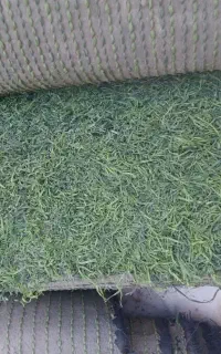 چمن مصنوعی